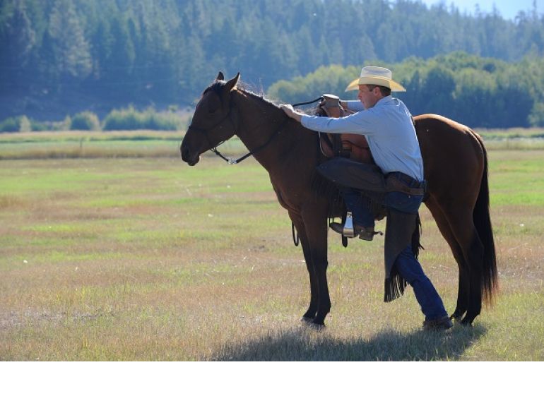  Jonathan Field, Natural Horsemanship, Mounting a Horse, Mounting a Green Horse, Horse Behaviour