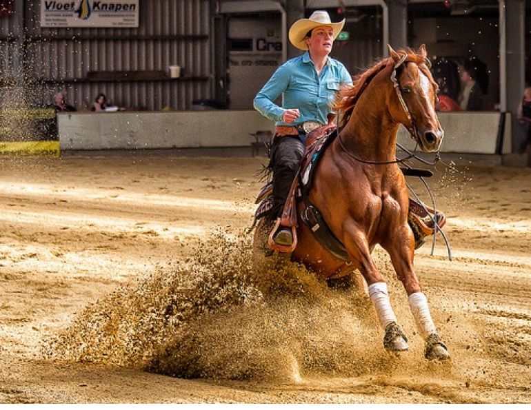 rhythm horse, cadence horse, reining horse balance, loping the oval reining exercise, lyle jackson horse reiner