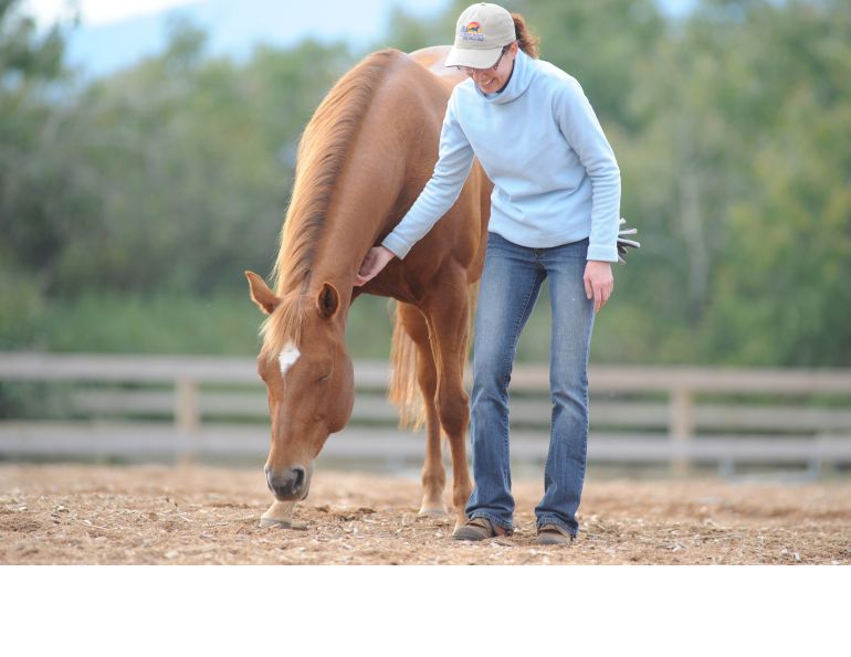 Mismatched Horses & Riders