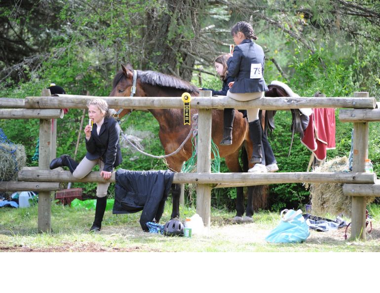 Lindsay Grice, Horse Show Safety, equine show safety, horse safety