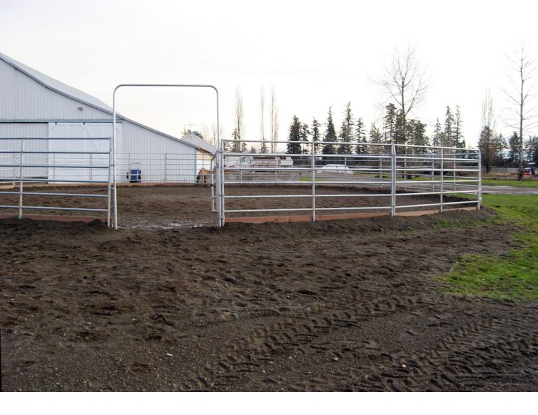 horse round pen training, horse penning practices, equine flight instinct, teaching horse ground manners, horse round pen mental awareness