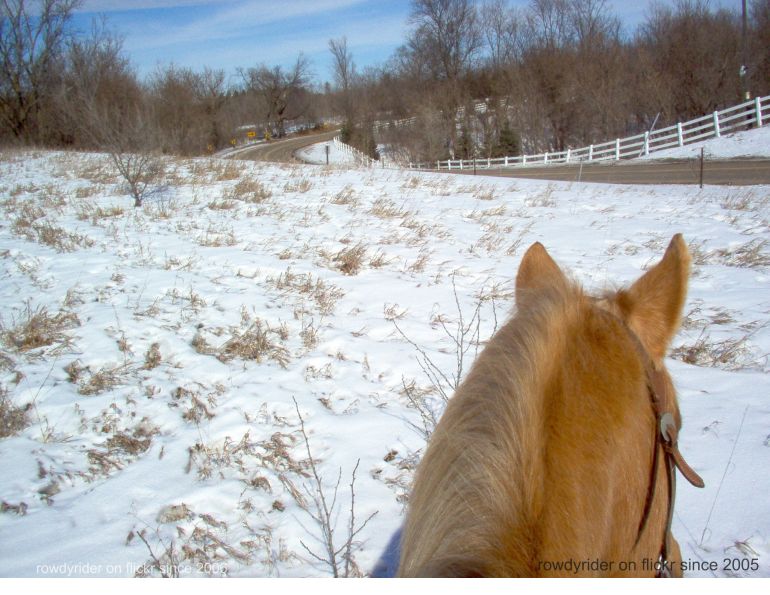 Stan Walchuk, Jr, trail horse training, off season trail horse, desensitize horse, bomb proof horse, horse trail riding tips, winter horse training