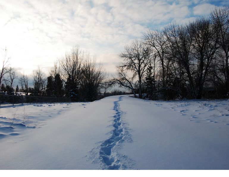 horse riding in extreme cold wewinter horse riding, cold weather riding, cowboy winter riding, riding in extreme cold, horse care in winter, equestrian winter conditions, riding horses in cold weather, winter horsemanship, cowboy life, working horses in winter