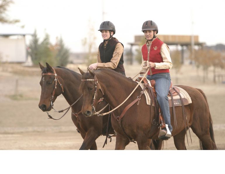 horse trail riding tips, horse riding near home, trail riding young horse horse trail riding tips, horse riding near home, trail riding young horse