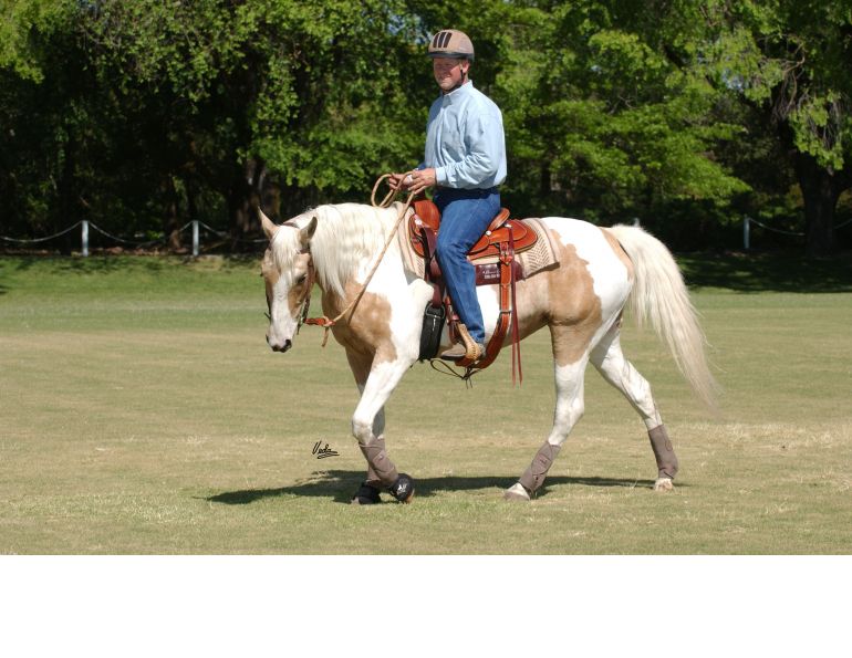 riding horses with eyes up, best riding position horses, lindsay grice