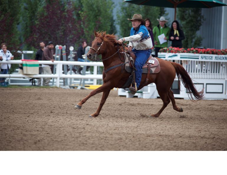 tying up horses, rhabdomyolysis, overexercise horse, horse ailment, Sporadic Exertional Rhabdomylosis, Chronic Recurrent Rhabdomyolysis, Recurrent Exertional Rhabdomyolysis