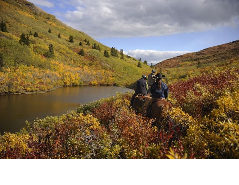 daying, equine holidays, canadian wilderness, Yukon Horsepacking Adventures, whitehorse horse riding