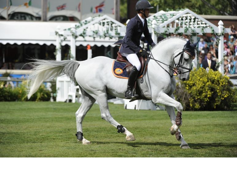 Collection for the Jumping Horse