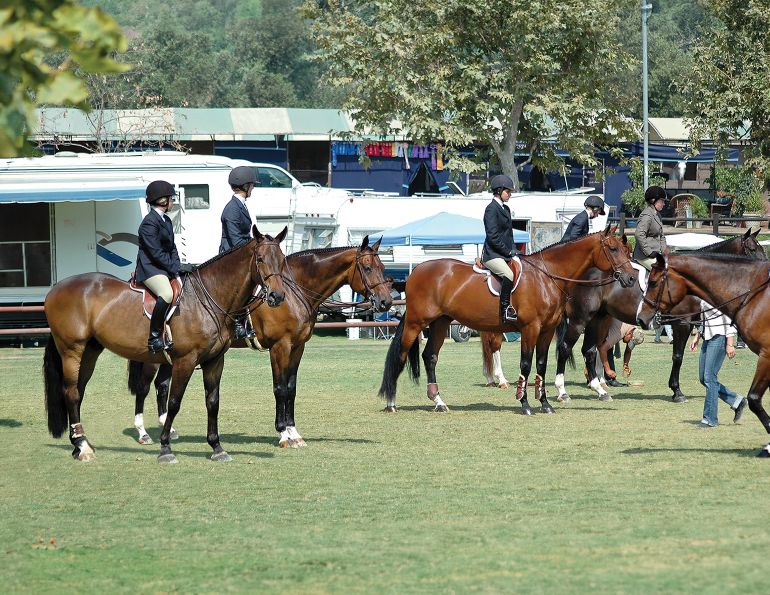 biosecurity on the horse farm, interprovincial equine event strategies, what is biosecurity?, biosecurity strategies for equine events, how to keep your equine event safe from biosecurity, outbreaks, keeping equids safe at equine events, Maxwell H. Gluck