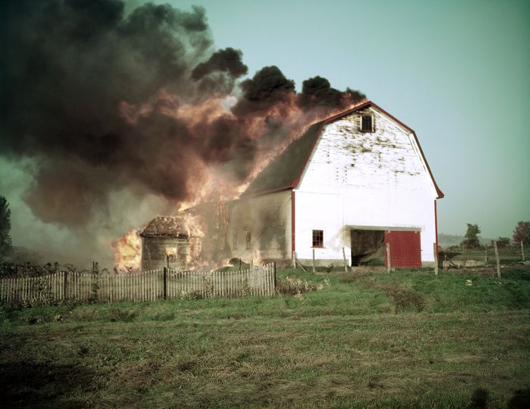 blindfolding horses, equine guelph studies, fire drills horses, evacuating horse barns, leading a horse blindfolded, horse welfare