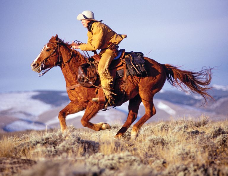 Nova Scotia Pony Express, Canadian Pony Express, horse history Canada, equine transportation history, Joseph Howe, 19th century communication, horses and news delivery, telegraph history, working horses history