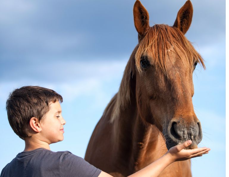horses children, horses kids, equine therapy, horse therapy, Washington State University, National Institutes of Health, Sue Jacobson, Phyllis Erdman