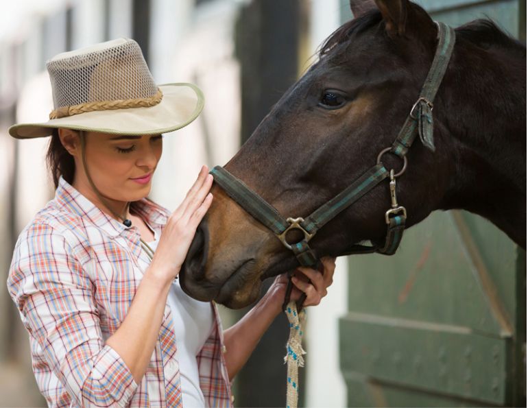 stable boarding contract, boarding agreement, horse board agreement, horse board contract, boarding a horse, written boarding agreement, Livestock Lien Act, horse owner not paying