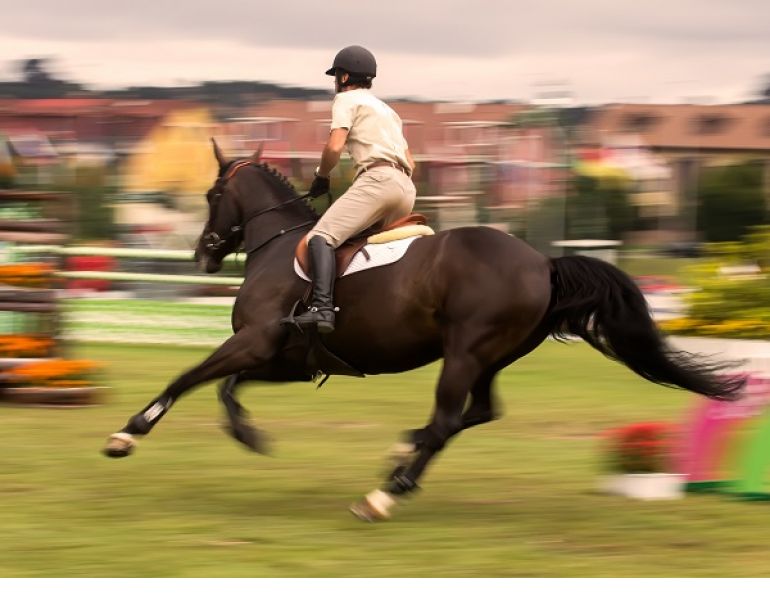riding nervous, rider anxiety, horse show anxiety, horse show nervousness, april clay