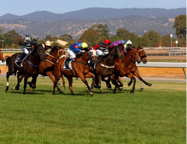 Female Jockeys good As Males, female jockey vs male jockey, Vanessa Cashmore, female horse jockeys, Gemma Tutty, nick rust, Mark Andrews, Equine Science Female Jockeys good As Males, female jockey vs male jockey, Vanessa Cashmore, female horse jockeys, Gemma Tutty, nick rust, Mark Andrews, Equine Science