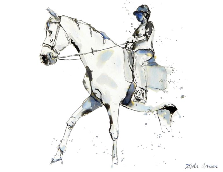 are school horses good to learn on, what do school horses do, how to start riding a horse, didi  arias