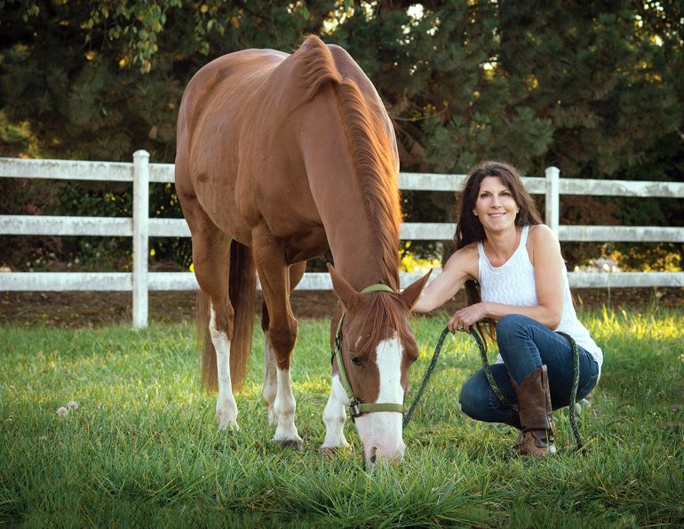 breeding horses, should i breed my mare, how to breed mare, how to find stallion, tania millen, merrington warmbloods lisa longtin, cwhba fall classic,