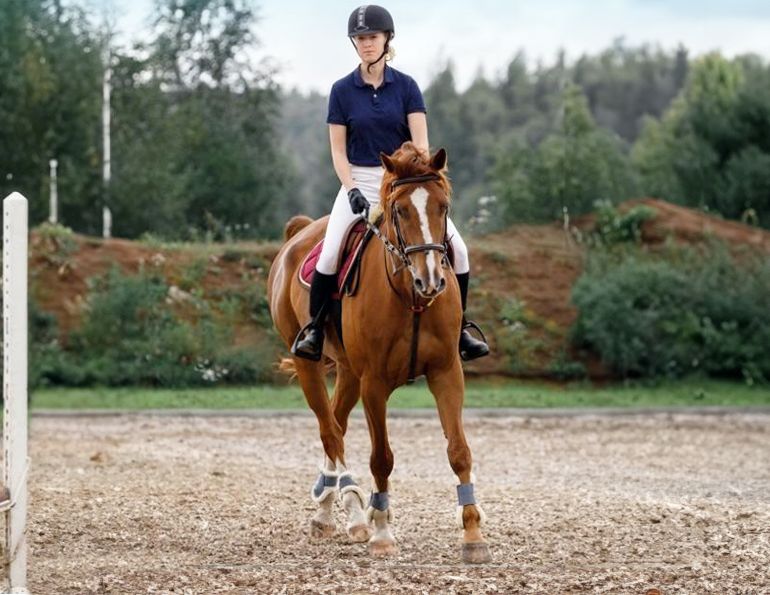 annika mcgivern equestrian psychologist, how to be a confident horse rider, equestrian psychology, equestrian athlete psychology