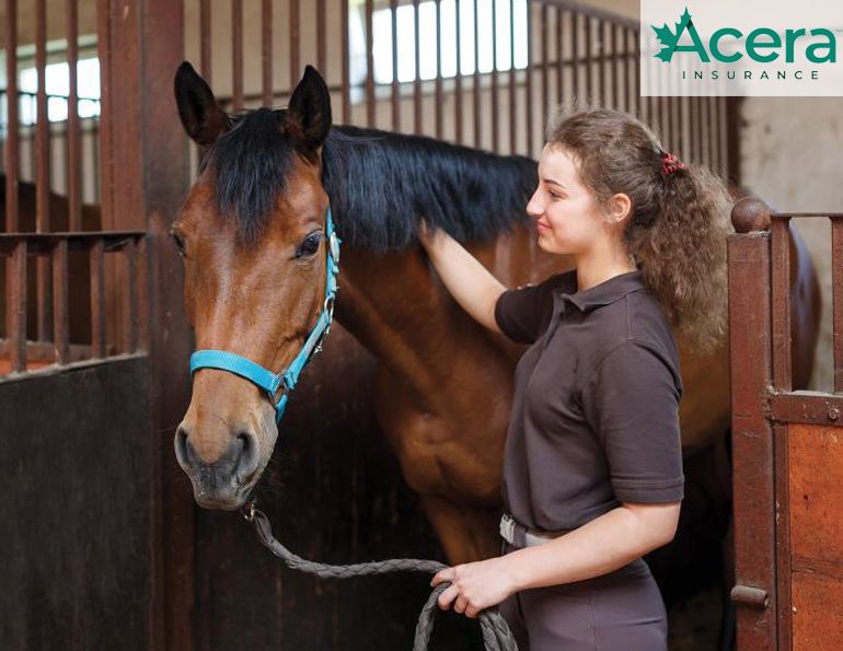 Acera Insurance, CapriCMW Insurance EquiCare, Covid-19 horse insurance canada, how to re-open horse barn covid-19