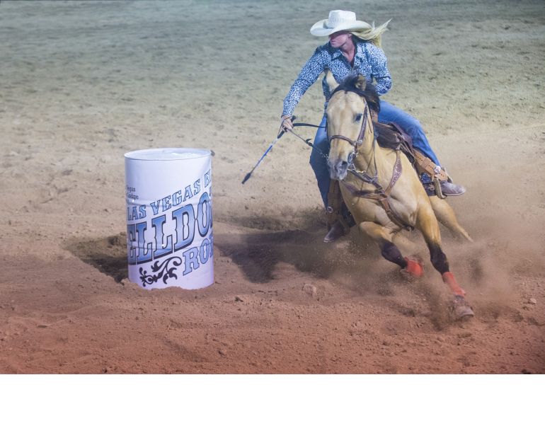 overcoming Equine Lameness, new equine lameness technology, how to rehab lame horse, equine Hyperbaric Oxygen Therapy, Infrared therapy for horses, equine hydrotherapy