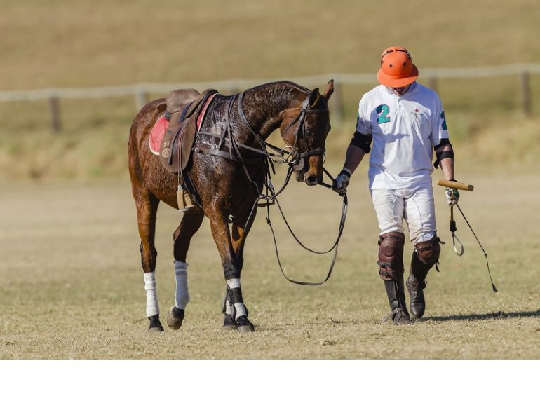 Equine Tying Up Syndrome, pssm, rer, polysaccharide storage myopathy recurrent exertional rhabdomyolysis Fabienne Uehlinger Western College of Veterinary Medicine WCVM Equine Tying Up Syndrome, pssm, rer, polysaccharide storage myopathy recurrent exertional rhabdomyolysis Fabienne Uehlinger Western College of Veterinary Medicine WCVM