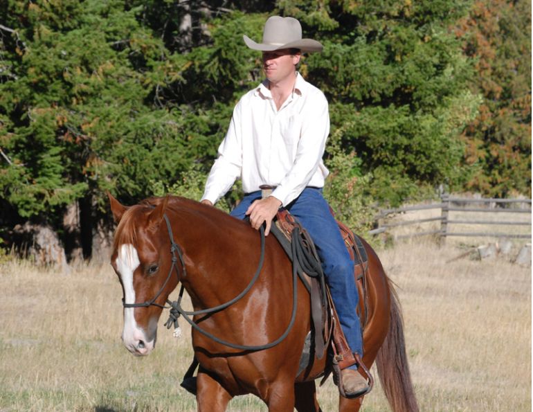 Jonathan Field, horse riding stop, horse whoa, horse hault, One Rein Bend to the Stop, Disengaging horse's Hindquarters, Two-Rein Stop, horse riding Jonathan Field