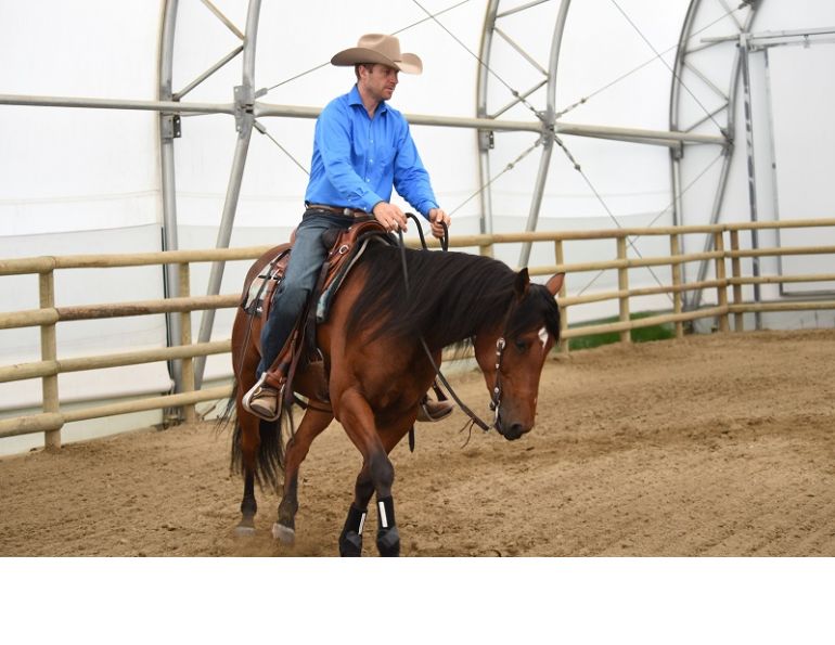 jonathan field, natural horsemanship, boxing horses, equine footwork, horse shoulders, horse footwork, natural horsemanship footwork