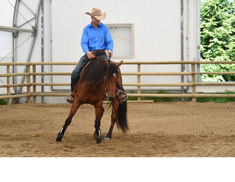 jonathan field, natural horsemanship, boxing horses, equine footwork, horse shoulders, horse footwork, natural horsemanship footwork