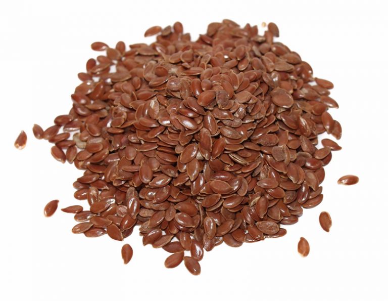 equine flaxseed, horse flaxseed, Dr. Nerida Richards, equine linseed, flaxseed equine feed ingredient equine flaxseed, horse flaxseed, Dr. Nerida Richards, equine linseed, flaxseed equine feed ingredient
