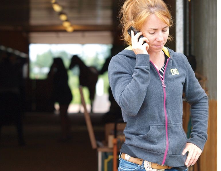 alternative treatments horse, laws for farriers canada, laws for equine massage, equine chiropractors, horse veterinary associations, injuries horses, horse castration