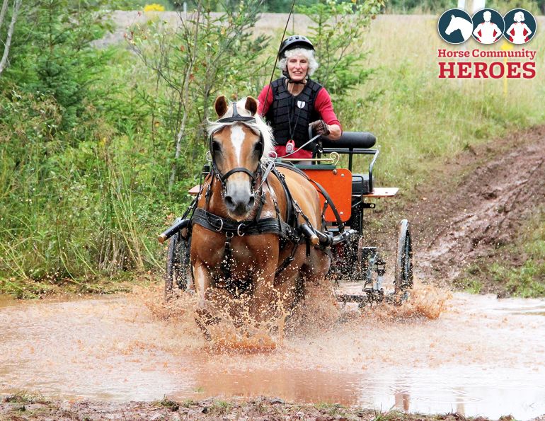 gillian allan horse community heroes, canadian horse heroes, gillian allan horse, equestrian canada driving coaches reputable, ec learn to drive program