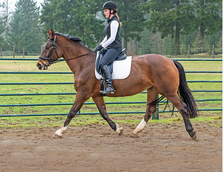exercises for horse riders, dressage riding exercises, fitness for horse riders, equestrian fitness