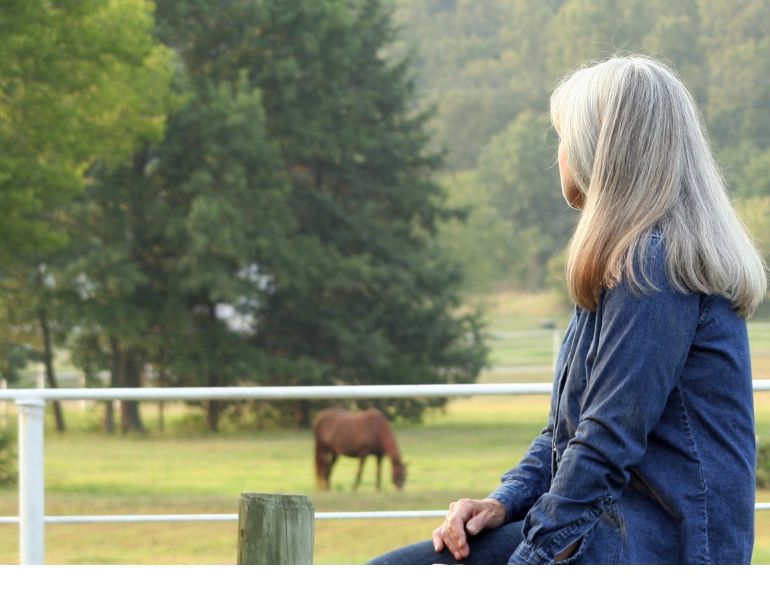 horse death, equine death, death of a horse, elaine little, margaret evans, robin duncan