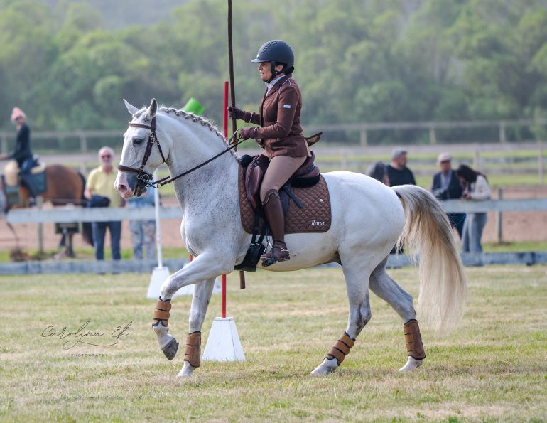 Canadian working equitation rider competing with traditional garrocha during international competitio