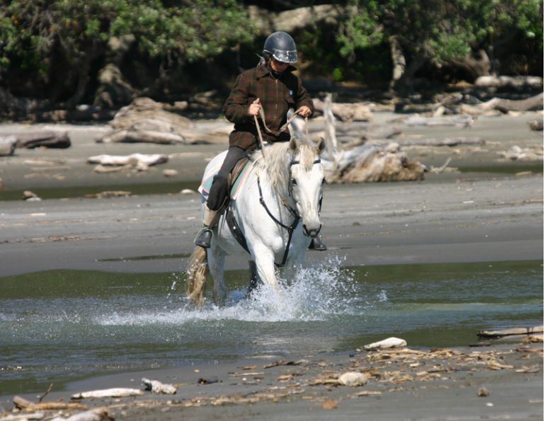 Stan Walchuk, Jr, safe trail riding with horses, horse riding safety, trail riding tips, desensitize horses Stan Walchuk, Jr, safe trail riding with horses, horse riding safety, trail riding tips, desensitize horses