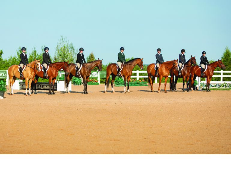 lindsay grice, flat class, how to judge a flat class, how to judge rail class, rules of a flat class, how to prepare flat class, lindsay grice