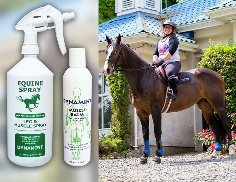 dynamint integrated bio, equine muscle rub, how to help my horse's sore muscles, equine liniments
