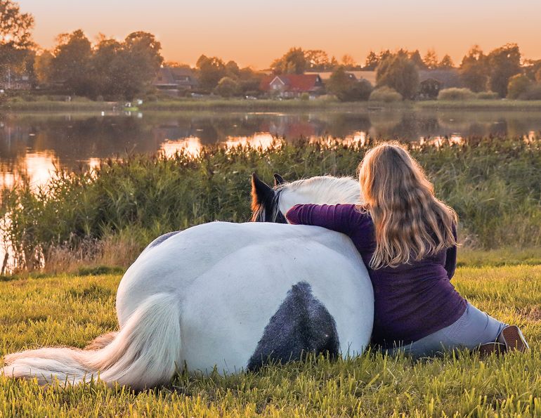 euthanizing horses, how to deal with horse dying, emotions with horses passing, horse died colic, alexa linton