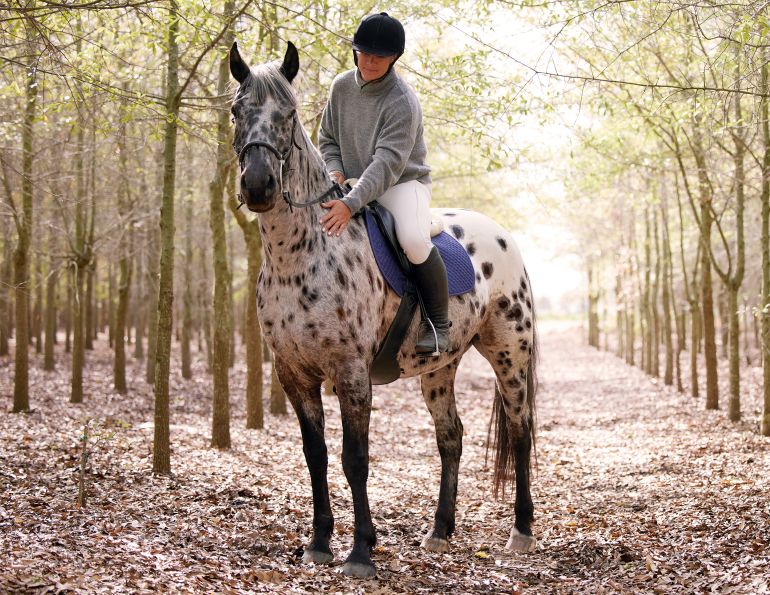 will clinging horse trainer, my horse is anxious, releasing tension horse, riding a spooky horse