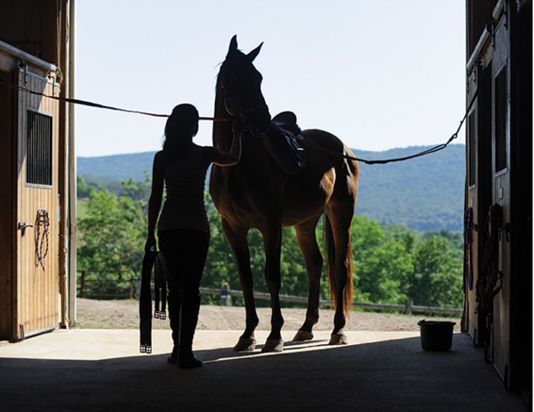 horse grooming, show jumper Brian Morton, equine industry heroes, equine grooming