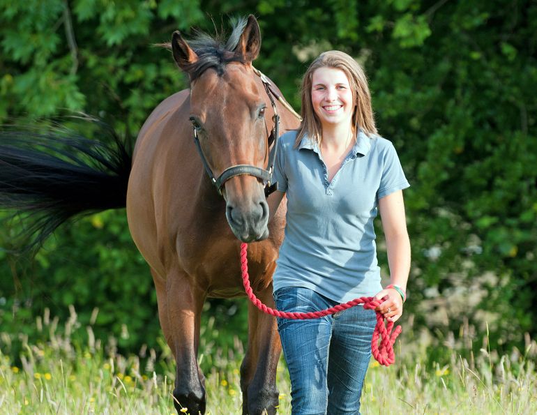 Equine education in Canada, Where can I study equine education in Canada? Equine studies BC, Equine studies Alberta, Equine studies Saskatchewan, Equine studies Manitoba, Equine studies Ontario, Equine studies Quebec, Equine studies New Brunswick, Equine studies Prince Edward Island, Equine studies Newfoundland, Equine studies Nova Scotia, horse education in Canada