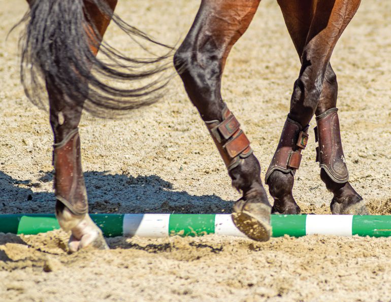 workin equitation side pass, rein-back horse, leg yielding horse, horse seems stuck, Sidepassing a horse, horse crossing legs, horse soft contact, lindsay grice horse training, backing obstacles with horses, sidepass obstacles with horses