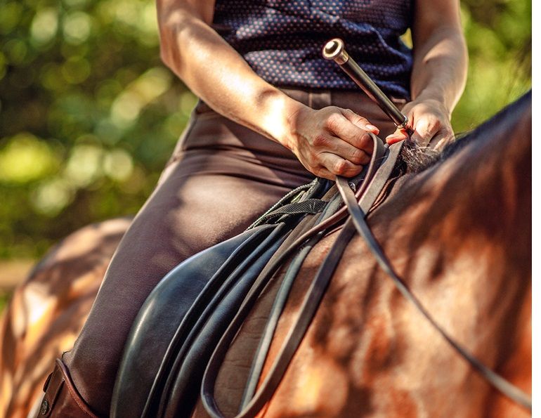 five rein aids horses, bearing rein aid, , opening rein aid, pulley rein aid, indirect rein aid, direct rein aid, riding horses rein aids, sarah mellings, ec certified coaches