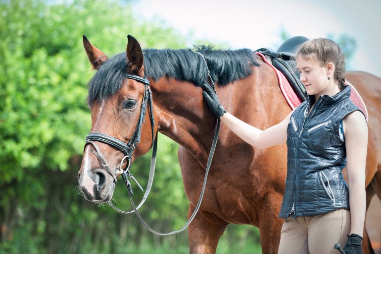 how to buy a horse, horse pre-purchase exam, equine pre-purchase exam, shopping for a horse, horse shopping, sellng a horse