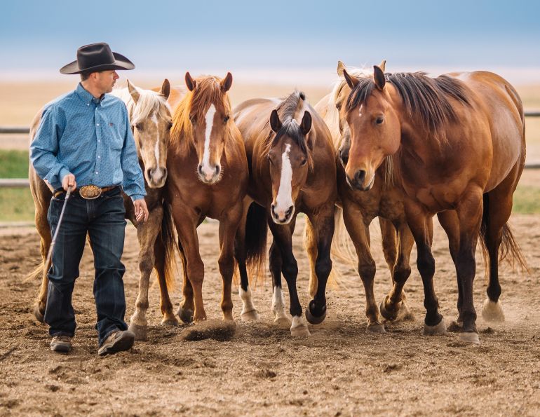 colt starting competition, tania millen, how to start a horse, working with foal, jim anderson higher horsemanship, heart of the horse, niki flundra horse trainer, glenn stewart horse, jill barron horse