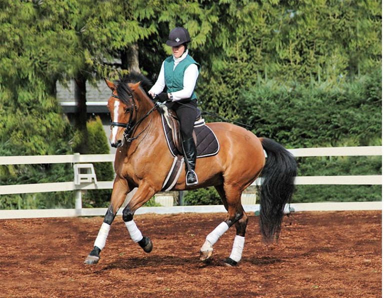 horse arena routines, jec ballou, arena diamond, balanced horse, horse flexion, equine sacroiliac joint, horse riding ground poles, dressage exercises, equine fitness 