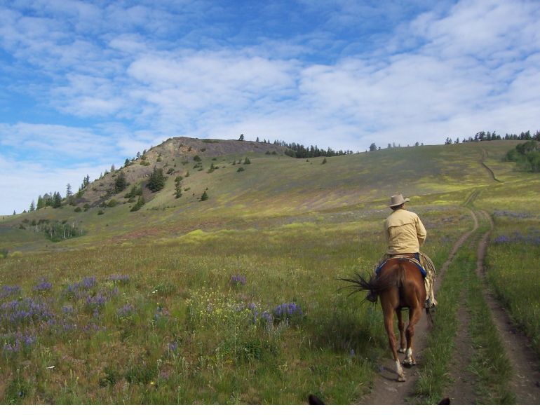 Starting Over with Will Clinging