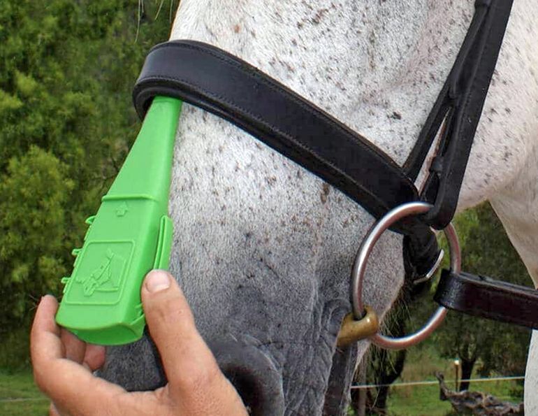 horse nosebands, taper gauge nosebands, tightness equine noseband, lindsay grice, are nosebands on horses allowed?