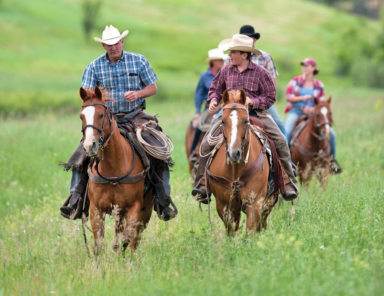Senior horse under saddle demonstrating the benefits of consistent exercise for maintaining fitness, mobility, and soundness.