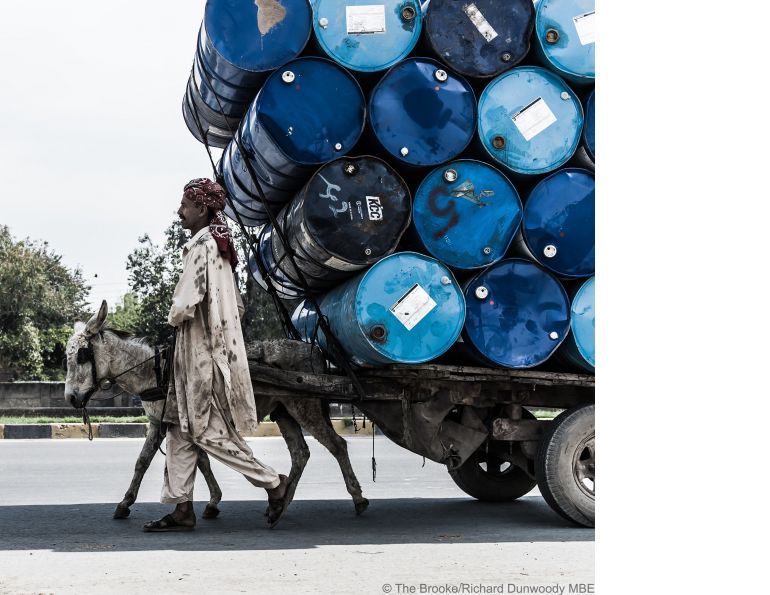 brooke usa, brooke for animals, donkeys third world, horses third world, equine welfare standards, world organization for animal health horse standards, oie